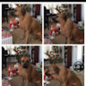 Meet your Posher, Chen